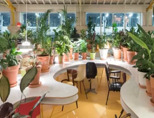5 Environmentally Friendly Green Office Design Ideas