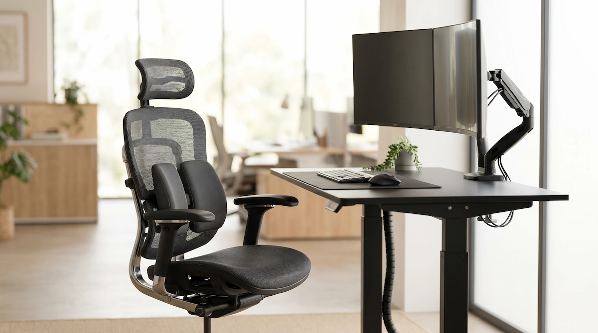 Setup hệ thống bàn nâng hạ độ cao và ghế công thái học lưới đệm tựa lưng 4D