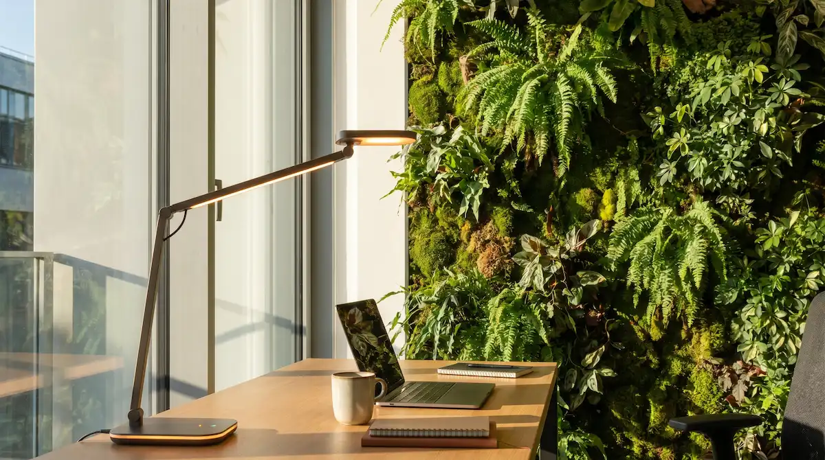 Bố trí bàn làm việc cá nhân cạnh vách kính cường lực và hệ thống tường cây thực vật Biophilic